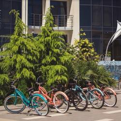 Велосипеды у входа в гостиницу Скай Маре в Алуште, Крым